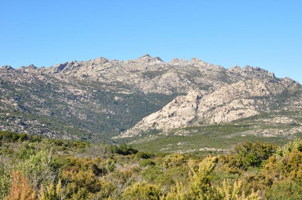 Sardegna Vicino Ad Olbia "La Casa Nel Vicolo" Villa แบร์คิดดา ภายนอก รูปภาพ