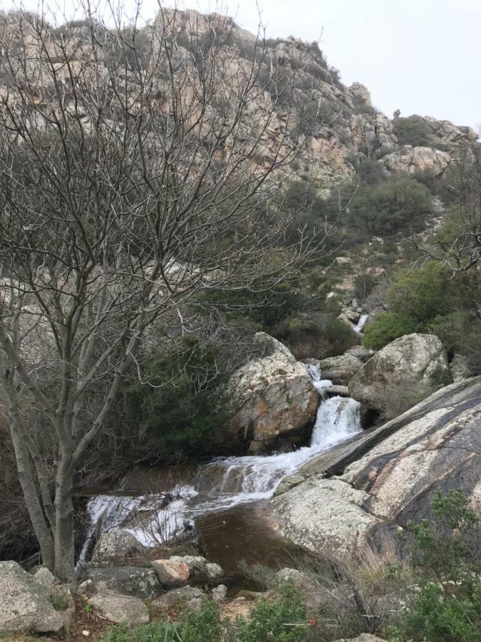 Sardegna Vicino Ad Olbia "La Casa Nel Vicolo" Villa แบร์คิดดา ภายนอก รูปภาพ