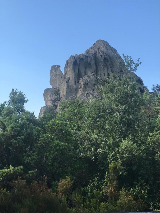 Sardegna Vicino Ad Olbia "La Casa Nel Vicolo" Villa แบร์คิดดา ภายนอก รูปภาพ