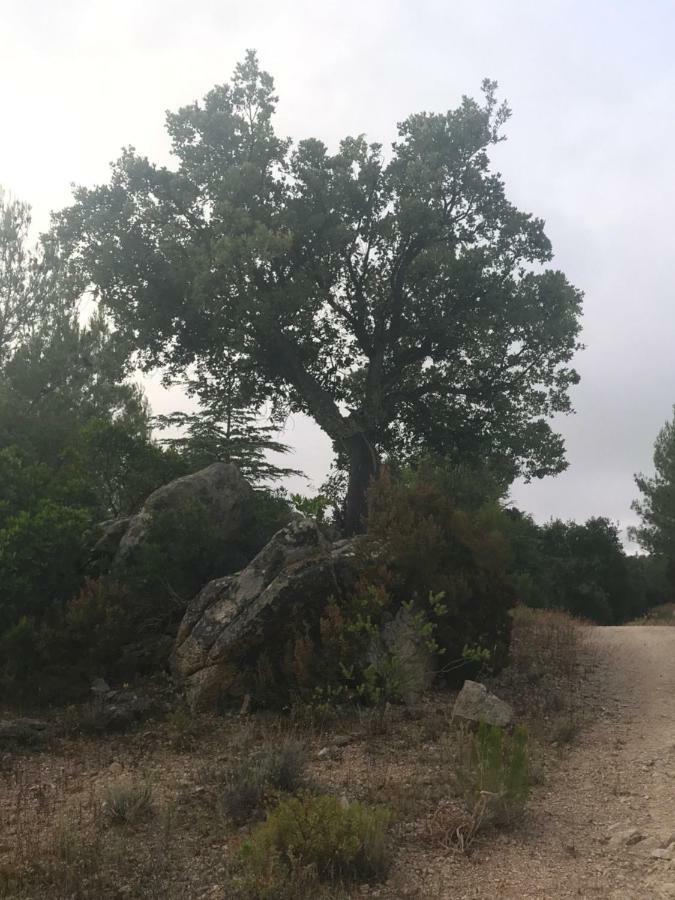 Sardegna Vicino Ad Olbia "La Casa Nel Vicolo" Villa แบร์คิดดา ภายนอก รูปภาพ